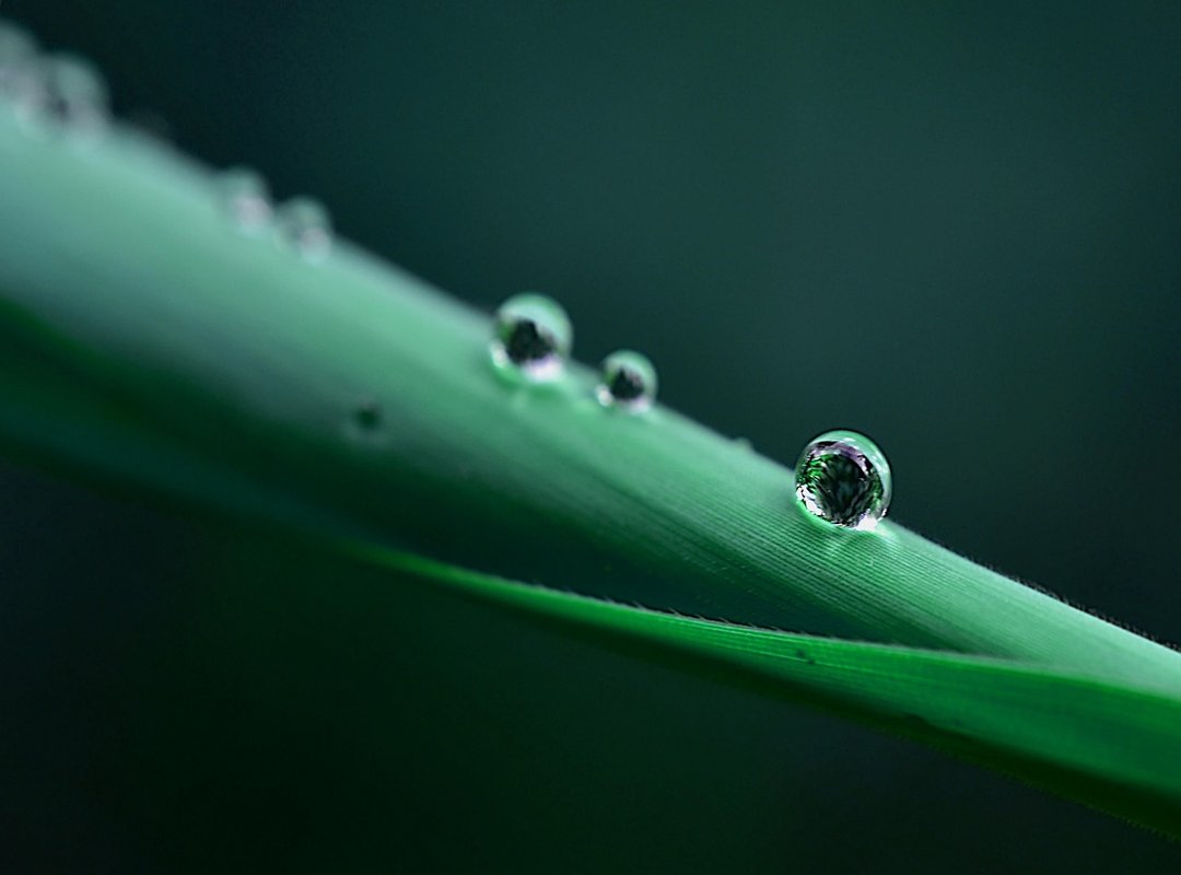 Article illustration