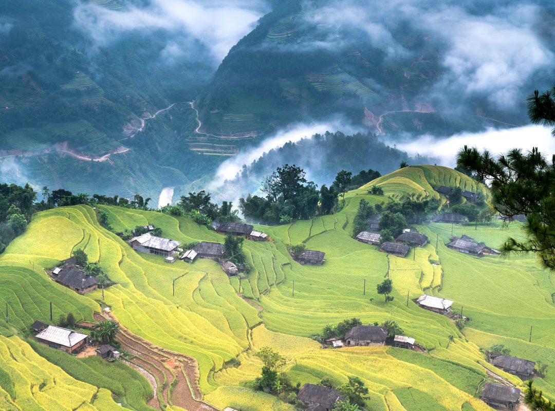 Video Games Togamesticky