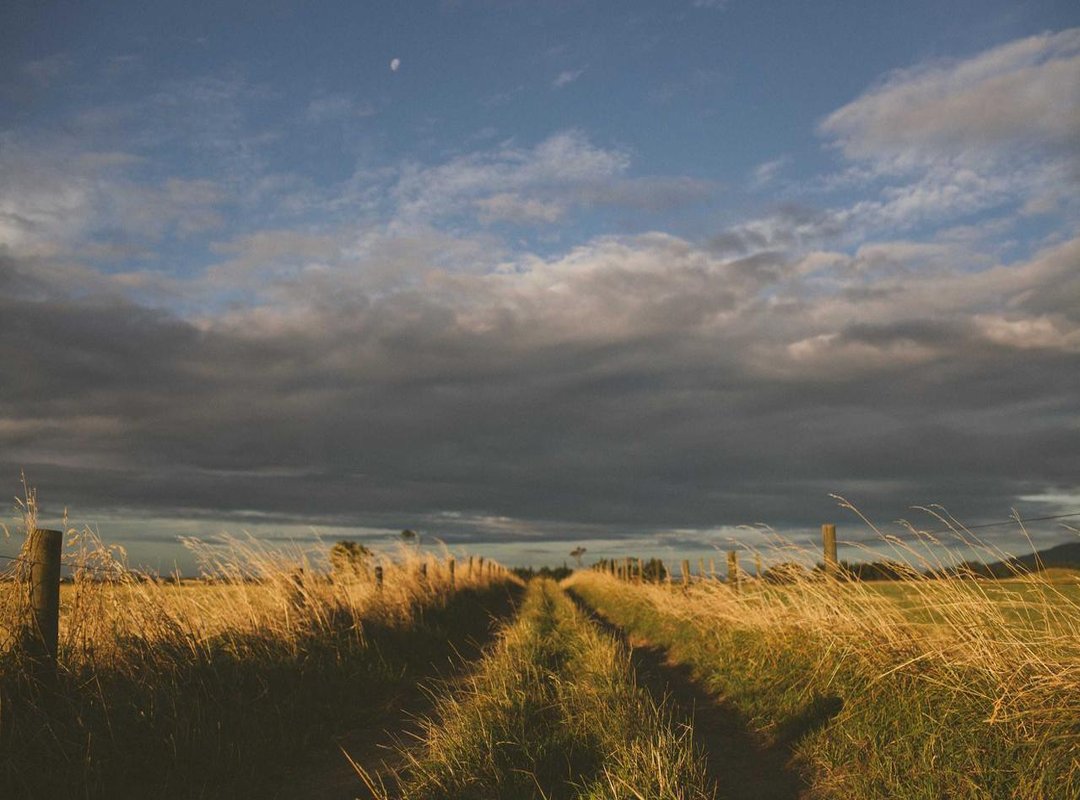 Familiar Faces: Where You've Seen the 'Entrevias' Actors Before