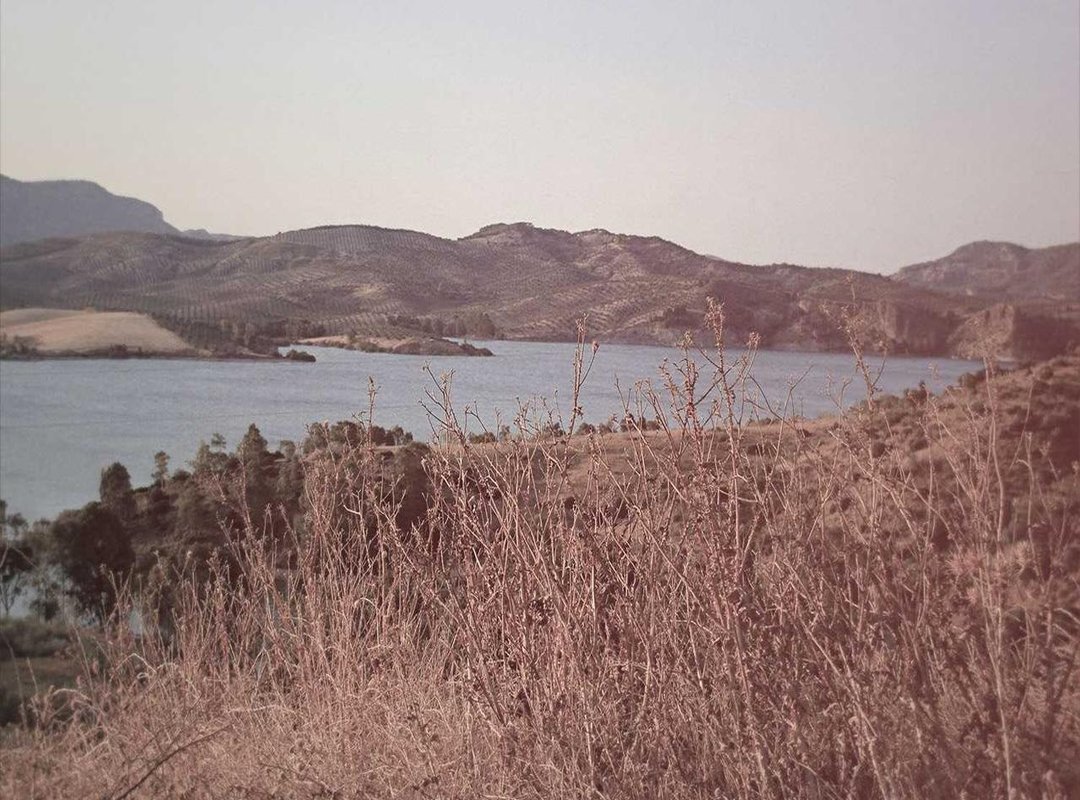 Important Considerations: Safety, Legality, and Performance