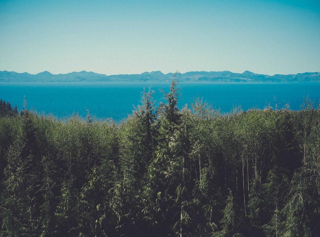 Beyond the Numbers: How Stature Shapes a Performer's Image