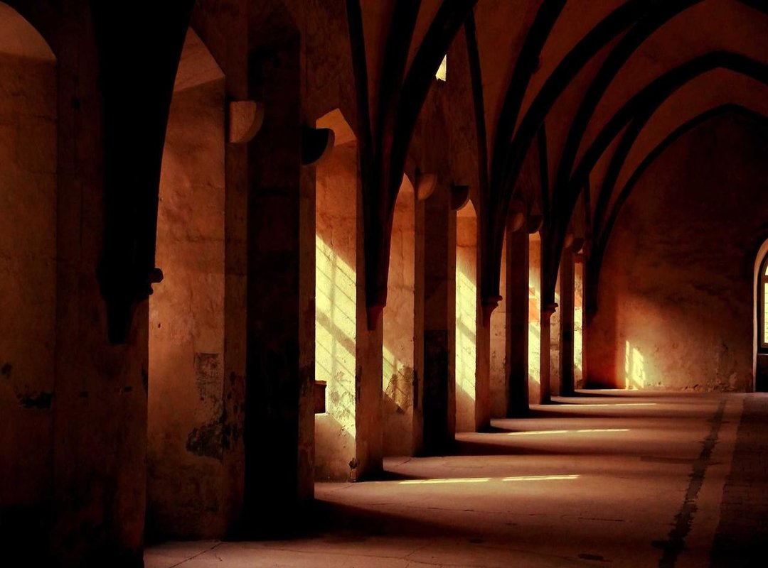 Beyond the Instagram Feed: A Look at Her Career and Business Ventures