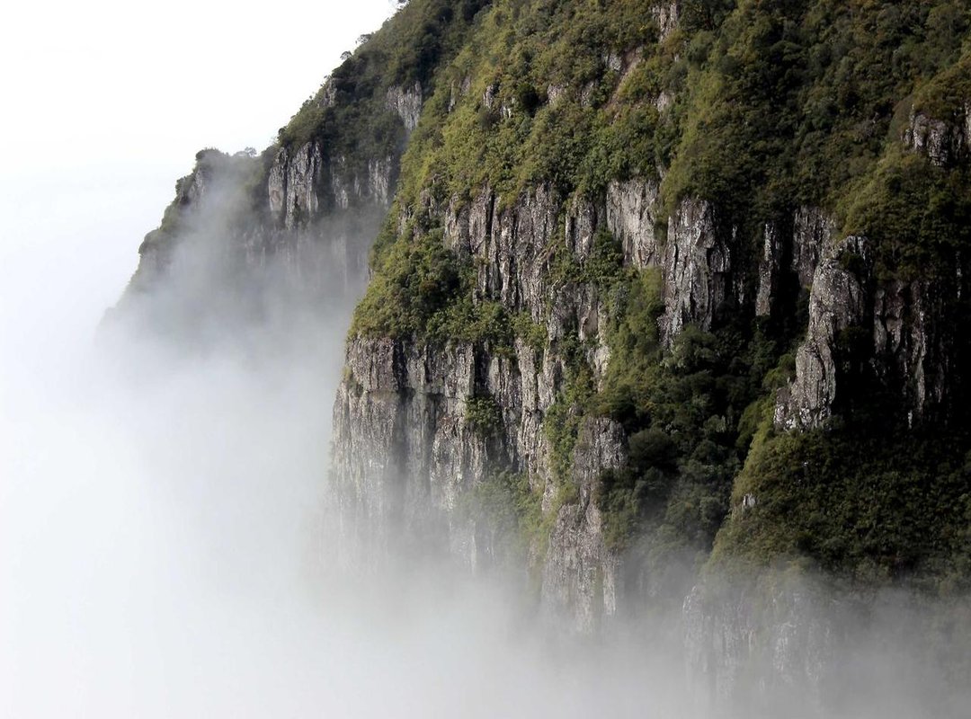 Make Your Own Custom Upin & Ipin Meme Stickers