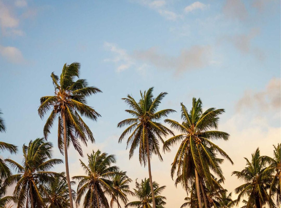 Beyond the Ropes: Creative and Modern Design Concepts