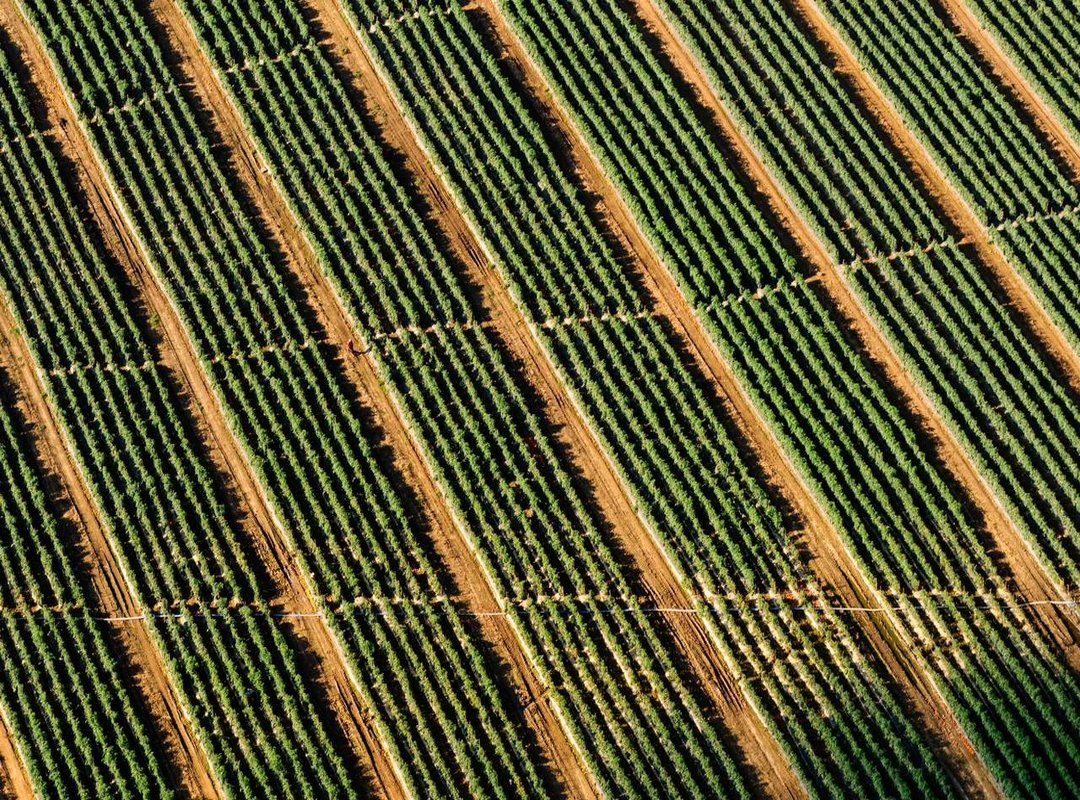 Timeless & Classic Colors That Always Look Good