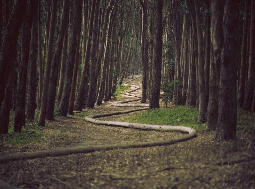 wega di number (sint maarten)